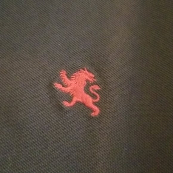 Express Polo - Picture 2 of 5